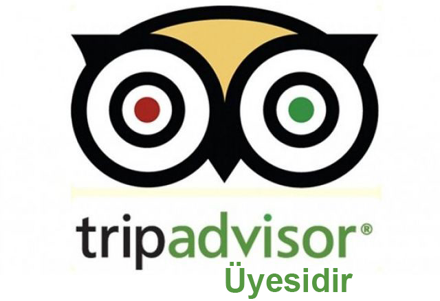 TripAdvisor İzmir Transfer